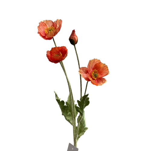 Poppy Spray QD0042-OR