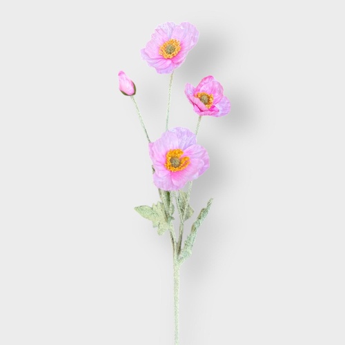 Poppy Spray QD0042-PNK