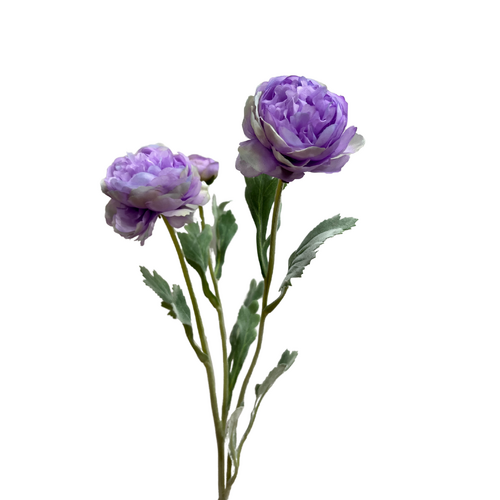 Ranunculus Spray QD0043-LI
