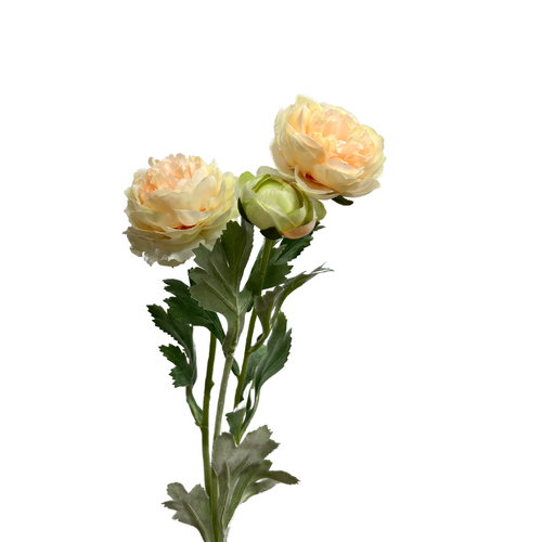 Ranunculus Spray QD0043-PCH