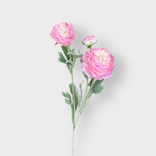 Ranunculus Spray QD0043-PK