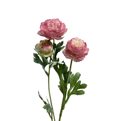Ranunculus Spray QD0043-PK