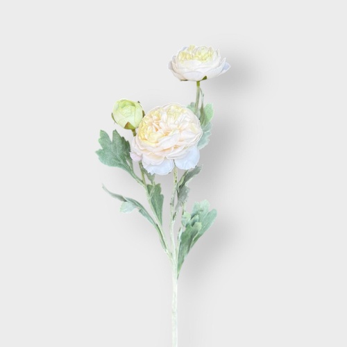 Ranunculus Spray QD0043-WH