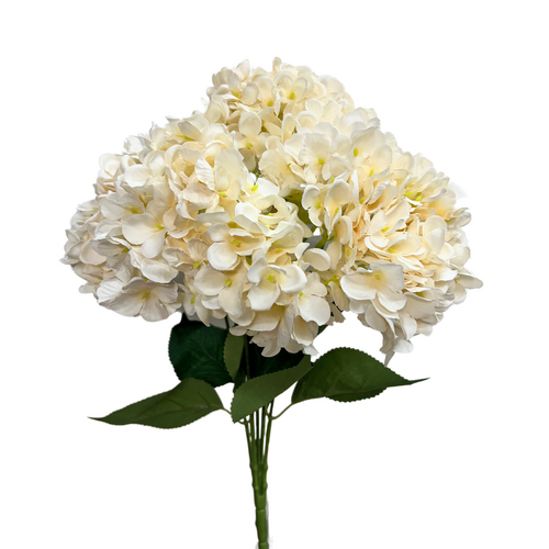 Hydrangea Bunch QD0046-CR
