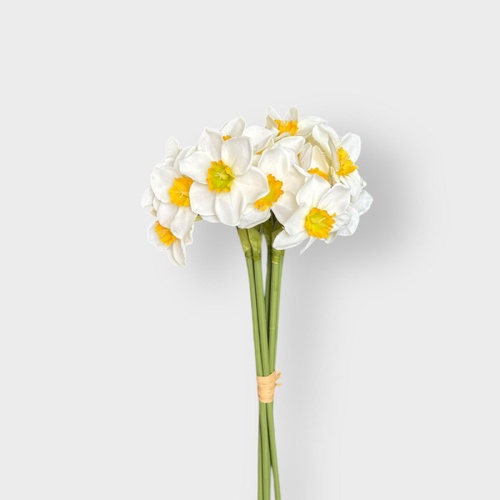 Daffodils Bunch QD0049-WH