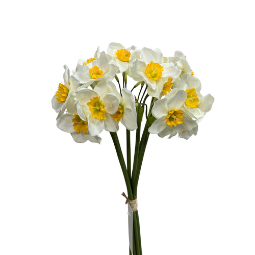 Daffodils Bunch QD0049-WH