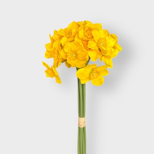 Daffodils Bunch QD0049-YE