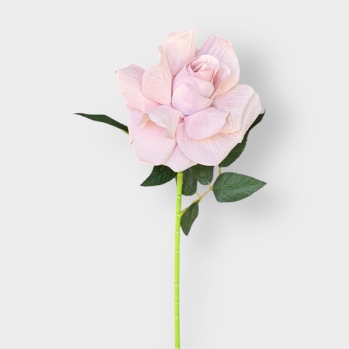Velvet Lux Rose QD1749PNK