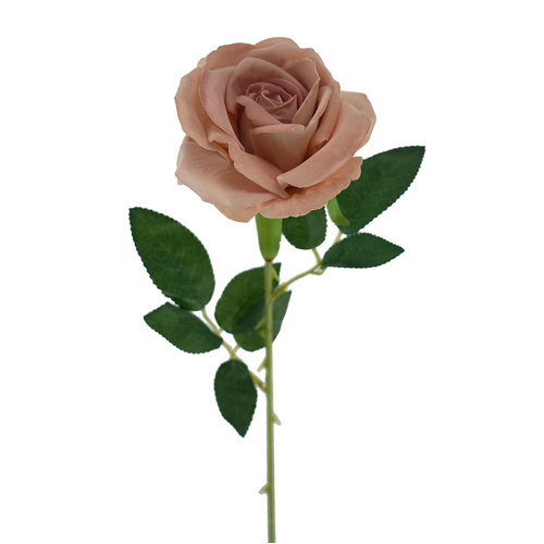 Velvet Rose QD1792-DUS