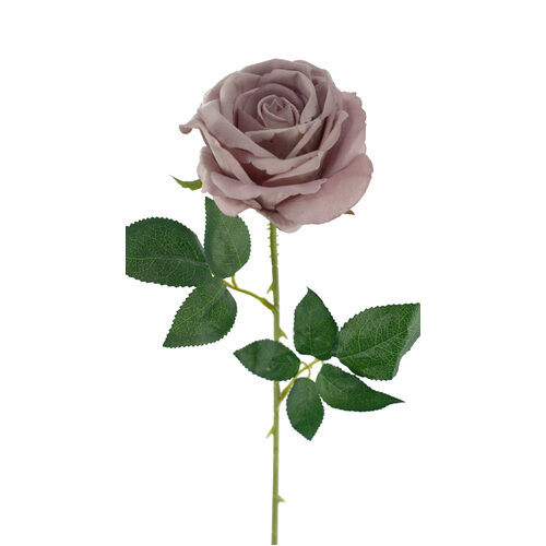 Velvet Rose QD1792-PNK