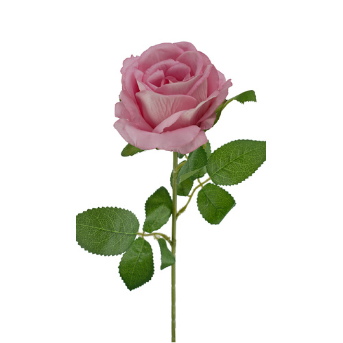 Velvet Pink Rose QD1794-PNK