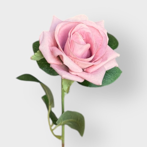 Velvet Rose QD1795-CHAM