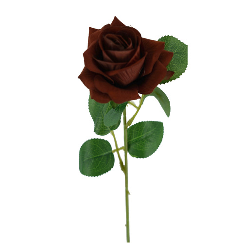 Velvet Rose QD1795-RUS