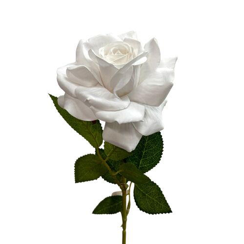 Velvet Rose QD1796WHT