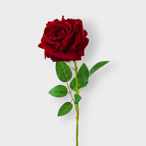 Velvet Rose QD5040BUR