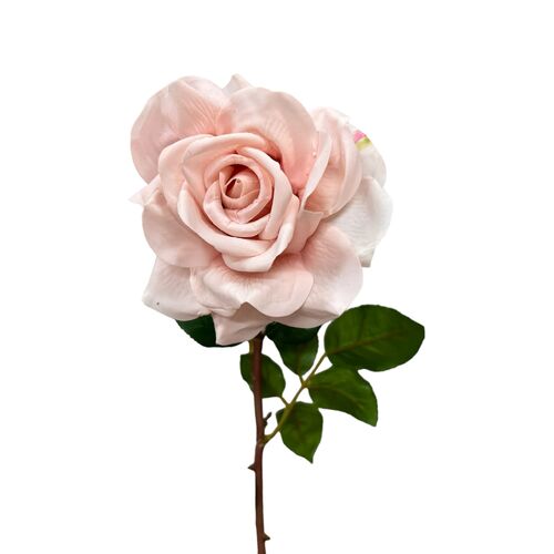 Real Touch Rose Allegra True Touch R154BLUSH