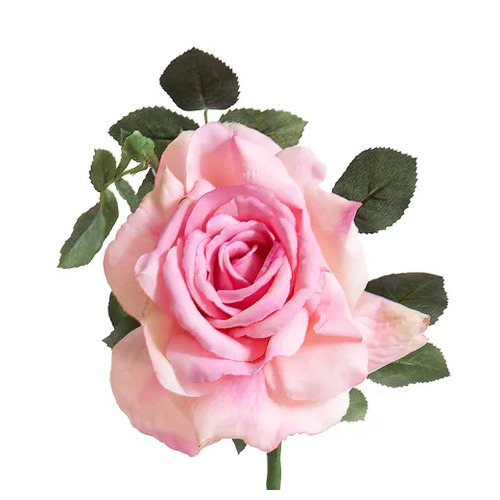 Large Open Rose R36P