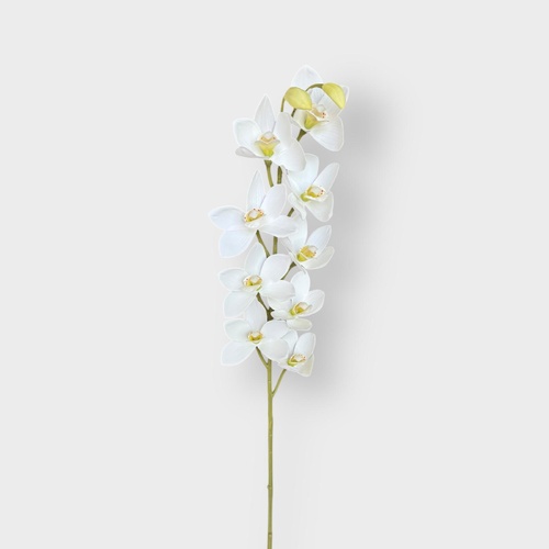 Mini Dendrobium Orchid RT7170WH