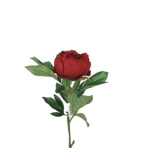 King Peony S064-RD