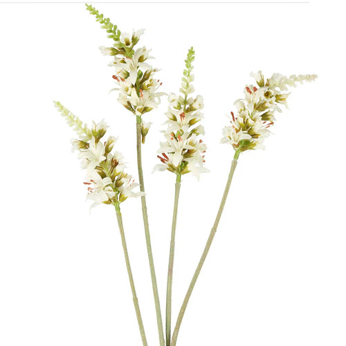 SALVIA NUTANS SAGE SPRAY CREAM S14CR
