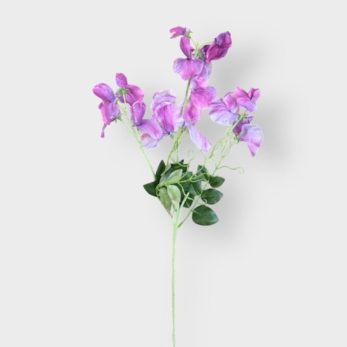 Sweet Peas S210LA