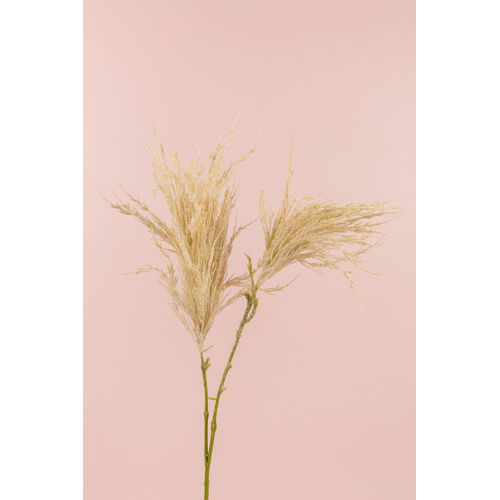 Pampas Seed Spray S2403-CRM