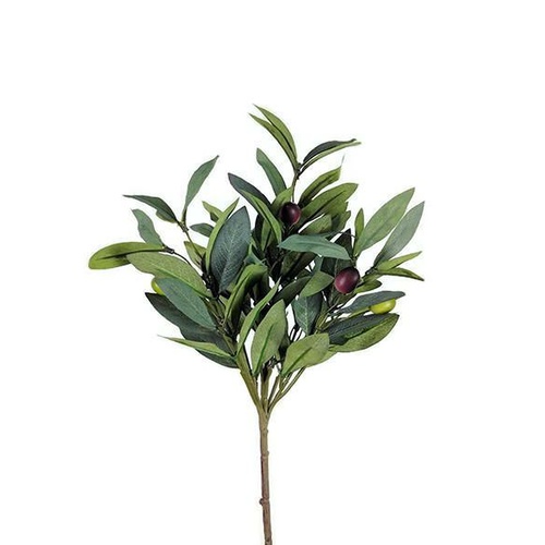 Olive Spray S2600GRN