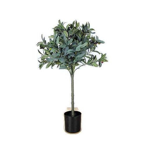 Olive Leaf Topiary in Plastic Pot S2601