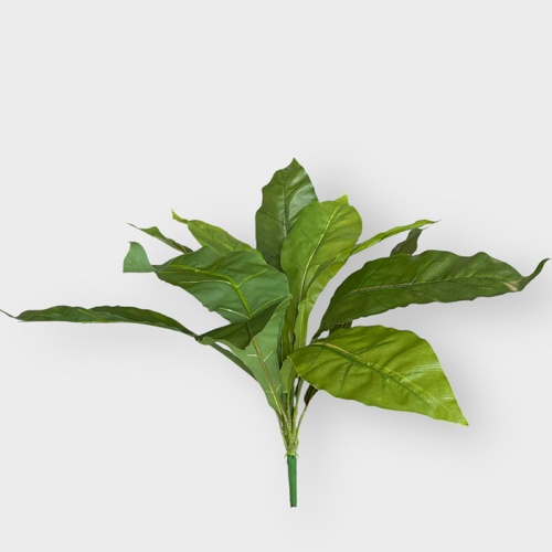 BIRD NEST FERN S2606-GRN