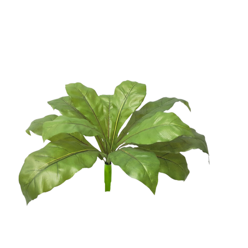 BIRD NEST FERN 12 LEAVES REAL TOUCH