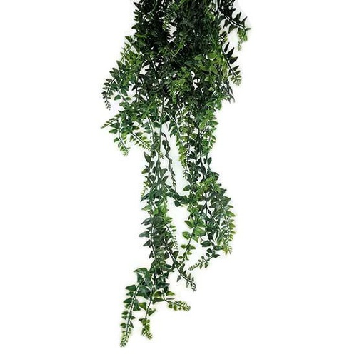 Hanging Baker Fern  S2608