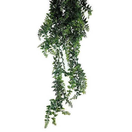 Hanging Baker Fern  S2609