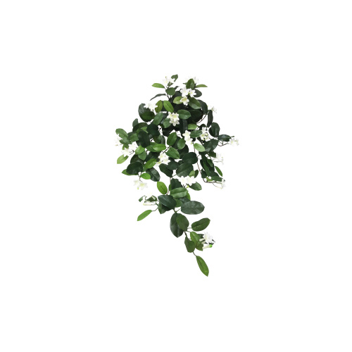 Hanging Stephanotis Bush S2616-WH