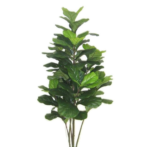 Fiddle Leaf Tree S2653