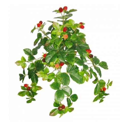 HANGING RASPBERRY BUSH  S2660GRN