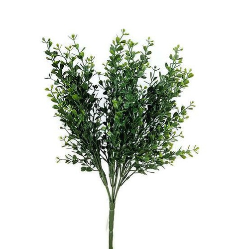 Boxwood Bush S2662-GR