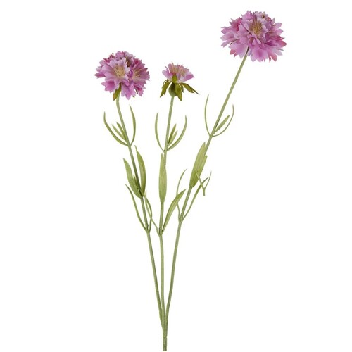 Scabiosa Spray S271LAV