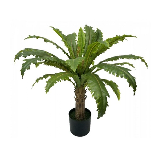 Margaritum Plant S2755