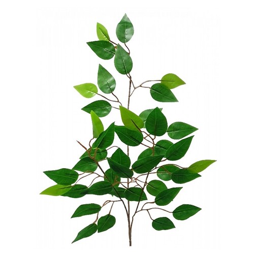 Ficus Leaves Spray S3100GRN