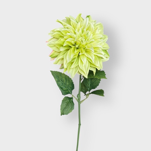 Large Dahlia S3120GR