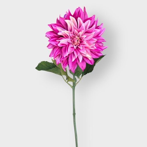 Large Dahlia S3120MAG
