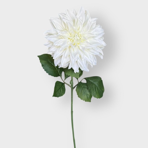 Large Dahlia S3120WHT