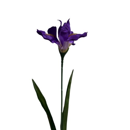 Iris Silk S3158PUR