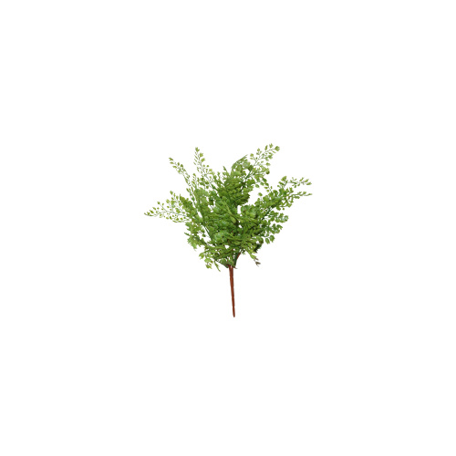 Maiden Hair Fern S3529