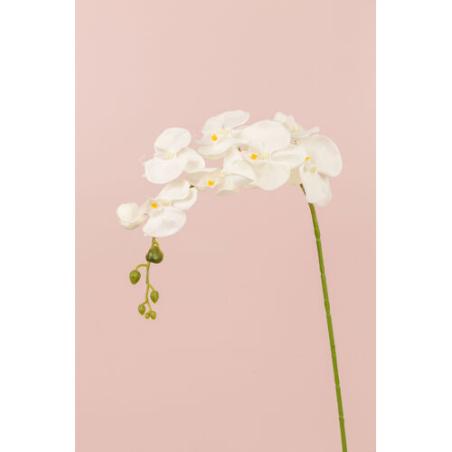 Silk Phalaenopsis Orchid S3533-WHT