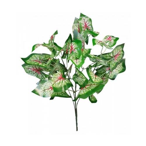 Caladium Bush S3547