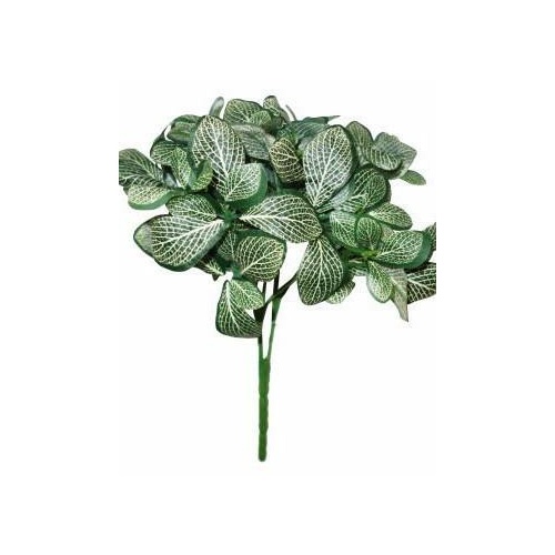 Peperomia Leaf Bush S3550