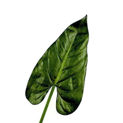 Real Touch Anthurium Leaf S3691