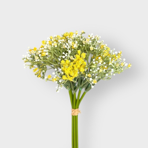 Gypsophila Bunch S3734YEL