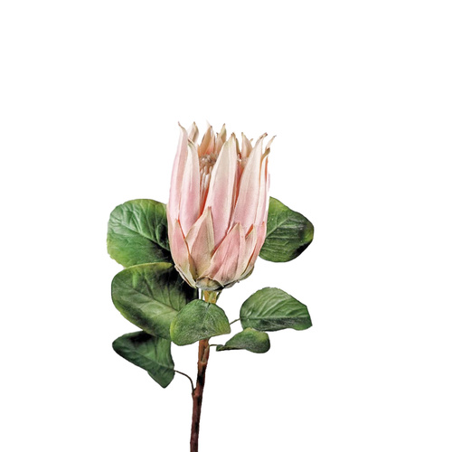 Single Protea S3822-PNK